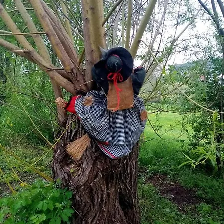 Casa de hóspedes Ba-bett's Markt Erlbach