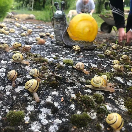 Ba-bett's * Markt Erlbach